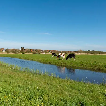 De Buitenplaats 42 Callantsoog