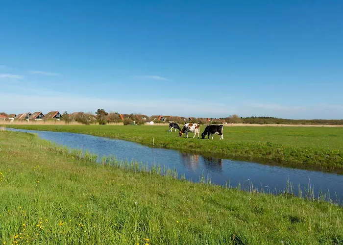 De Buitenplaats 42 Callantsoog